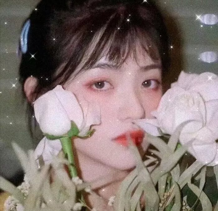盗墓笔记