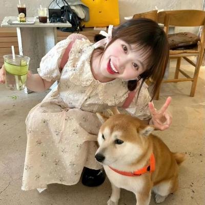 芈月传
